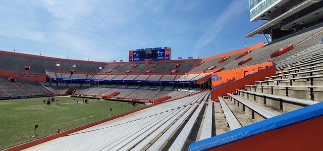 领先的教练 领先的教练