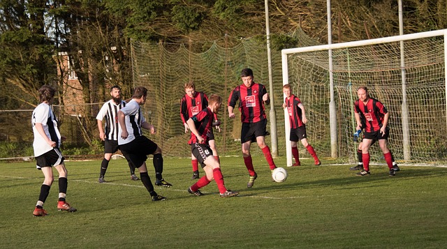 也为未来的 也为未来的