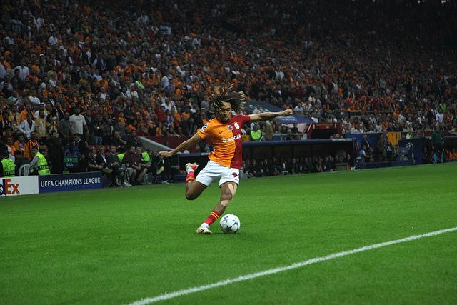 上早已证明 上早已证明