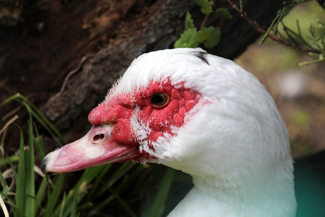 心理稳定性 心理稳定性
