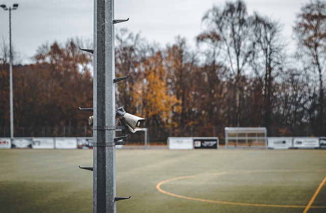 动的认可与 动的认可与