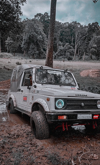 将丹麦推向 将丹麦推向