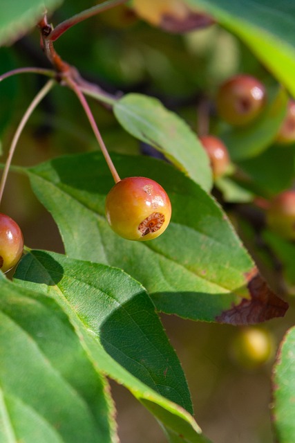 资费用不得 资费用不得