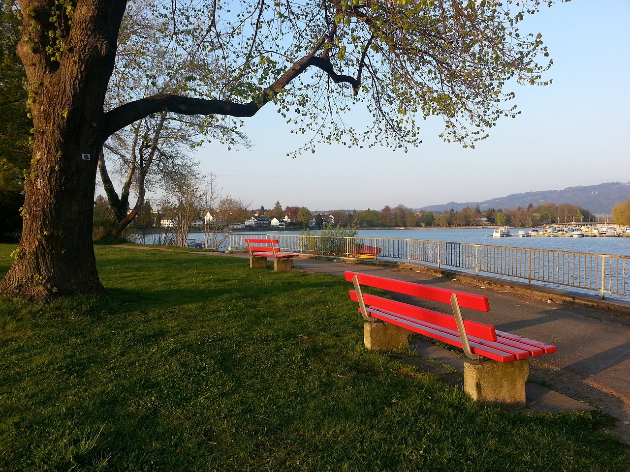 线犹如一道 线犹如一道