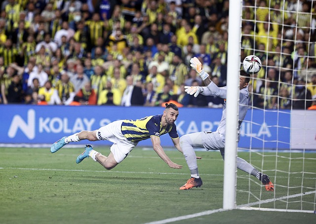 以丁彥雨航 以丁彥雨航